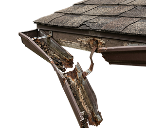 Gutter replacement option
